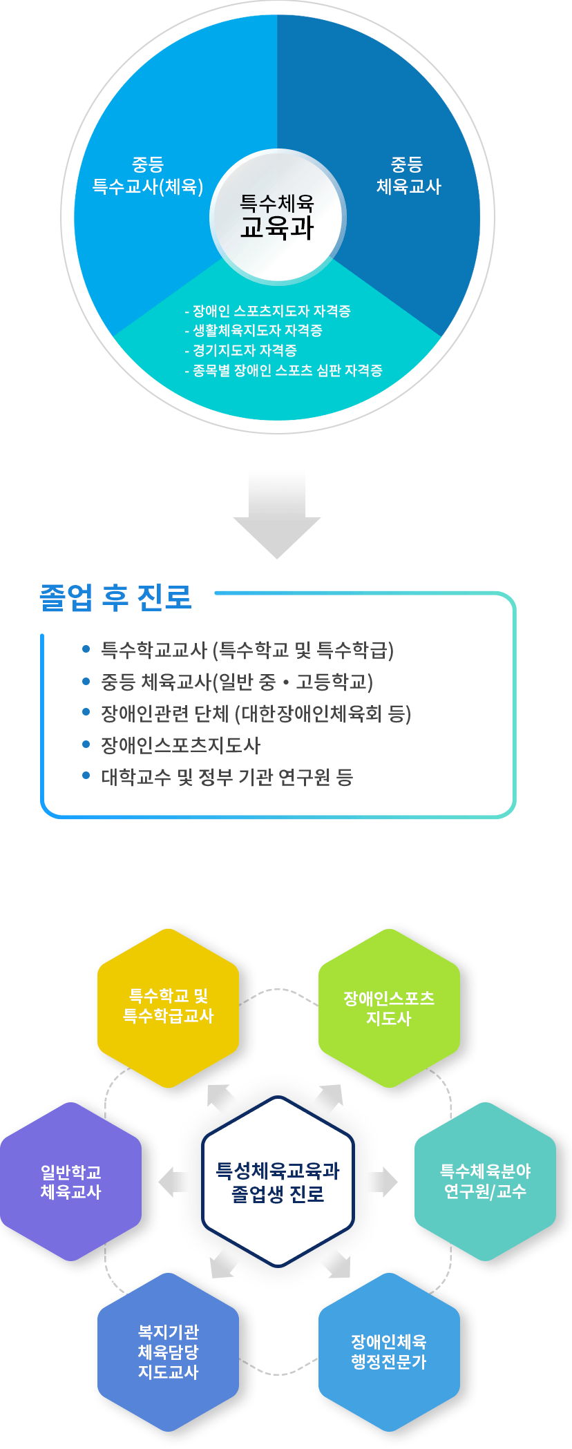 졸업진로가이드 관련 이미지